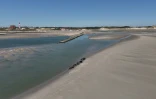 Vue aérienne de phoques à Berck-sur-Mer, dans le Pas-de-Calais, le 26 mai 2026