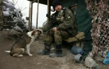 Un soldat ukrainien et un chien recueilli près de Sartana, dans l'est de l'Ukraine, le 29 février 2016