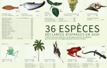 36 espèces déclarées disparues en 2020