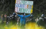 Un manifestant tient une pancarte face aux forces de l'ordre sur le site de la Zad de Notre-Dame-des-Landes, le 15 avril 2018