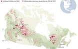 La forêt canadienne victime des incendies