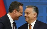 Le vice-chancelier autrichien Heinz-Christian Strache (g) et le Premier ministre hongrois Viktor Orban à Budapest, le 6 mai 2019