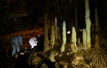 Des scientifiques de la DRAC de Nouvelle-Aquitaine progressent dans la grotte de Cussac, lors d'une visite exclusive, le 20 février 2025