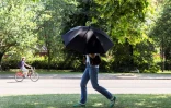 Une personne s'abrite du soleil avec un parapluie, le 22 juin 2026 Ă Hyde Park, Ă Londres