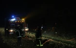 Incendie en forêt de Fontainebleau, à Noisy-sur-Ecole, le 13 juillet 2026