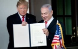 Le président américain Donald Trump (G) et le Premier ministre israélien Benjamin Netanyahu (D) se tiennent devant la Maison Blanche, le 25 mars 2019 à Washington
