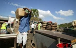 Mamoudzou (Mayotte)18 octobre 2005 - 

À la suite d'un arrêté municipal, des employés communaux détruisent les étals du marché