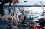 Mercredi 9 juin 2004 - 

Record du monde de plongée en apnée pour Guillaume Néry