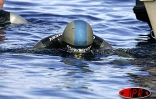 Mercredi 9 juin 2004 - 

Record du monde de plongée en apnée pour Guillaume Néry