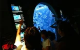 Implantés sur le port de Saint-Gilles (Ouest) depuis 2000, l'Aquarium de La Réunion et ses 500 poissons reprentant 125 espèces attirent une foule de visiteurs sans cesse croissante