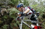 Jeudi 6 mai 2004 - 

Les Wilsa ont remporté la seconde édition du raid Réunion d'Aventures