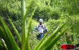 Mercredi 5 mai 2004 - 

Les équipes de tête ont traversé Mafate