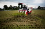 Yuichi Ogura aux commandes de son tracteur pour la récolte de riz à Kazo, au Japon, le 31 août 2018