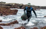 Wu Feng-chiao récolte des algues pour les transformer en gelée à Magang, le 16 juin 2026 à Taïwan