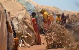 Des familles déplacées dans un camp de réfugiés à Baidoa, le 14 mars 2017 dans le sud-ouest de la Somalie