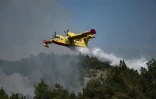 Un Canadair largue sa cargaison d'eau au-dessus de la forêt de Dadia, en Grèce, touchée par un incendie, le 24 août 2023
