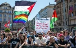 Des drapeaux palestiniens lors de la cérémonie d'ouverture du Concours Eurovision de la chanson 2025, le 11 mai 2025 à Bâle, en Suisse
