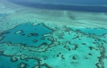 Vue aérienne de la Grande Barrière de corail, en novembre 2014 près des îles Whitsunday, en Australie