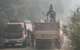 Des pompiers de Slovaquie interviennent sur un feu de forêt dans le parc national de Dadia, près d'Alexandroupoli, le 2 septembre 2023 dans le nord de la Grèce