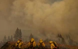 Des pompiers luttent contre l'incendie Oak Fire près de Mariposa (Californie), le 24 juillet 2022