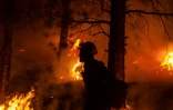 Des soldats du feu combattent le Bootleg Fire dans l'Oregon, le 15 juillet 2021