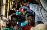 Des passagers du "train de la liberté" au Zimbabwe le 29 janvier 2019