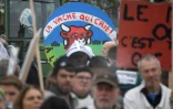 Défilé à Strasbourg avec les manifestants qui brandissent une pancarte "la vache qui crie", à Strasbourg, le 22 octobre 2019