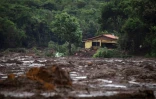 Une zone recouverte de boue après la rupture d'un barrage près de Brumadinho au Brésil, le 26 janvier 2019