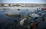 Des déchets plastiques flottent dans l'eau à Rio de Janeiro, le 12 septembre 2024