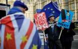 Des manifestants anti-Brexit devant le Parlement britannique à Londres, le 12 février 2019