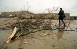 Un arbre abattu par la tempête devant le Château de Versailles, le 26 décembre 1999