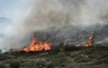 Incendie dans la garrigue près de Volos, le 27 juillet 2023 en Grèce