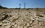 Le lit partiellement asséché du Rhin à Düsseldorf, dans l'ouest de l'Allemagne, le 28 juillet 2026, à la suite d'une vague de chaleur exceptionnelle