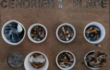 La cigarette sera interdite sur les plages, dans les parcs, et aux abords des écoles à compter du 1er juillet
