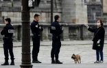 Une femme promène son chien, place de la Concorde, le 17 mars 2020