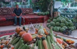 L'agriculteur kurde Hamid Ismaïl Abdulrahmane expose les fruits et légumes qu'il cultive dans sa ferme près Halabja, le 6 juillet 2022 en Irak