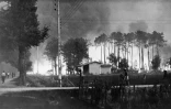 Photo prise le 22 août 1949 du gigantesque incendie dans le massif forestier des Landes de Gascogne qui fit 82 morts en Gironde