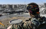 Un combattant des Forces démocratiques syriennes à Raqa le 18 octobre 2017