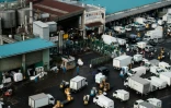 Le marché aux poissons de Tsukiji, le 6 octobre 2018 à Tokyo, au Japon