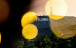 Les célèbres lettres formant le nom de Hollywood, photographiées le 25 mars 2022