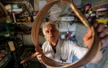 Le luthier palestinien Souhail Abou Chawich dans son atelier de réparation d'ouds, au camp de réfugiés de Nousseirat, dans le centre de la bande de Gaza, le 23 juin 2026