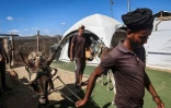 Des Palestiniens amènent leurs ânes à une clinique vétérinaire improvisée dans le camp de déplacés de Deir el-Balah, dans le centre de Gaza, le 30 septembre 2024