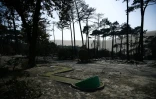Le camping des Flots Bleus, ravagé par les flammes en Gironde, Pyla-sur-Mer, le 19 juillet 2022