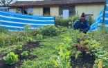 Olga Ickapakarati dans son potager sur l'île de Pâques, à 3.500 km des côtes chiliennes dans l'océan Pacifique, le 6 août 2022