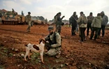 Des rebelles syriens soutenus par Ankara cajole un chien dans le village de Miznaz, dans la province d'Alep, en Syrie, le 14 février 2020