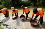 Des employés de Tigui Mining Company et sa responsable Tiguidanke Camara (C) le 25 février 2017 à Guingouiné en Côte d'Ivoire