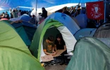 Des manifestants préparent des pancartes sous une tente, dans un campement installé pour protester contre les expulsions et la crise du logement devant le siège de la présidence de la Communauté de Madrid, Puerta del Sol, le 28 septembre 2026