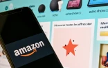 Amazon sort largement renforcé d'une année de pandémie qui a fait exploser le commerce en ligne et les besoins en cloud (informatique à distance)