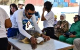 Une tortue d'une espèce protégée est préparée pour être relâchée sur la côte de Sfax, dans le centre-est de la Tunisie, le 15 octobre 2023