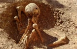 Une sépulture de Gaulois enterré assis sur un site de fouilles archéologiques à Dijon, le 17 mars 2026 en Côte d'Or